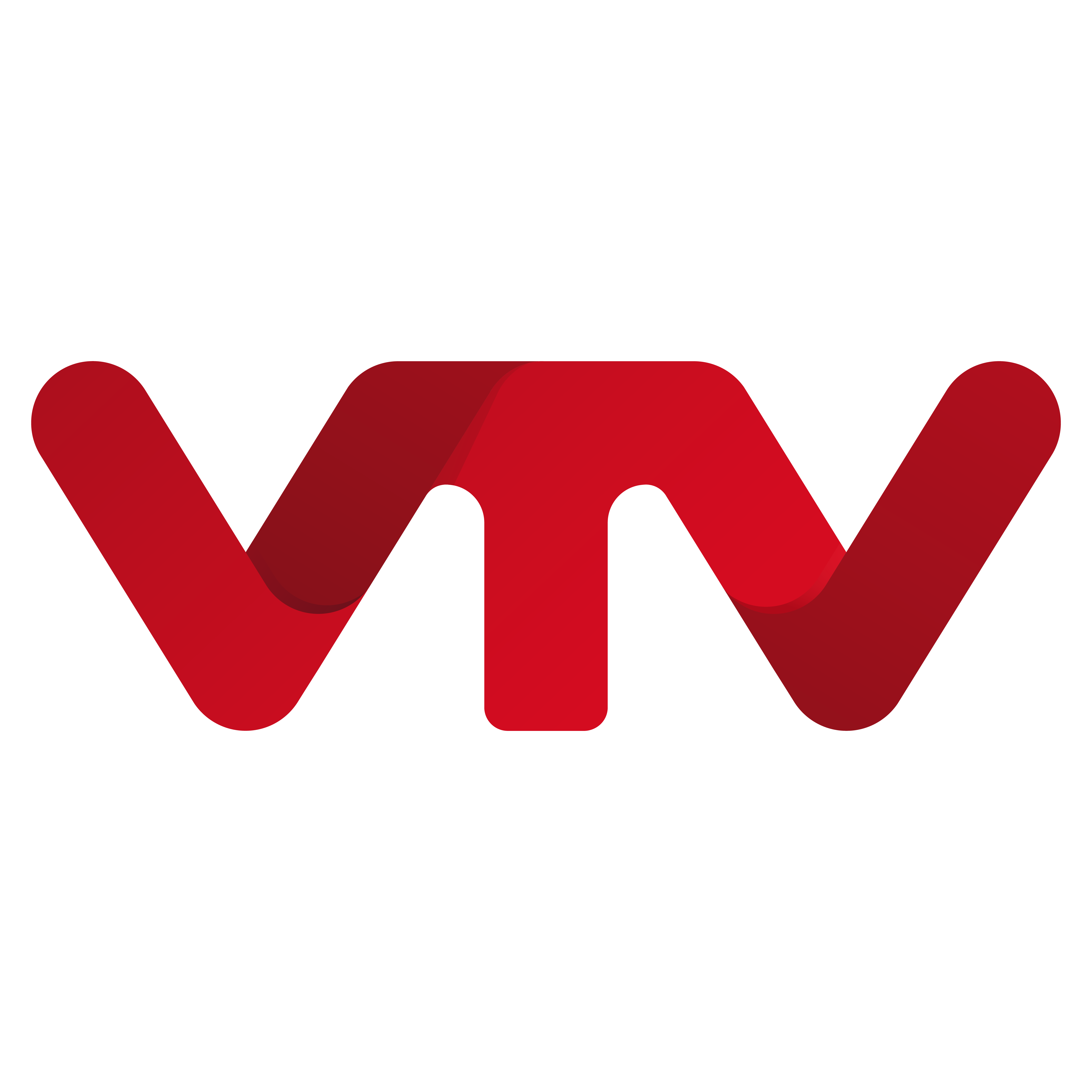Logo VTV_Approved-01